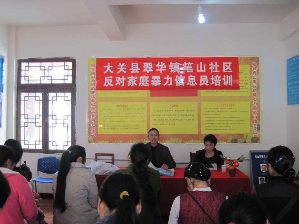 大关县翠华镇笔山社区举办反家庭暴力信息员培训会